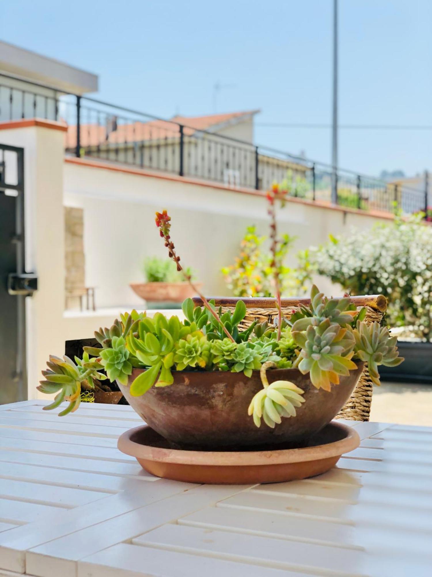 Blue Apricot Apartment Con Jacuzzi Montesilvano Bagian luar foto
