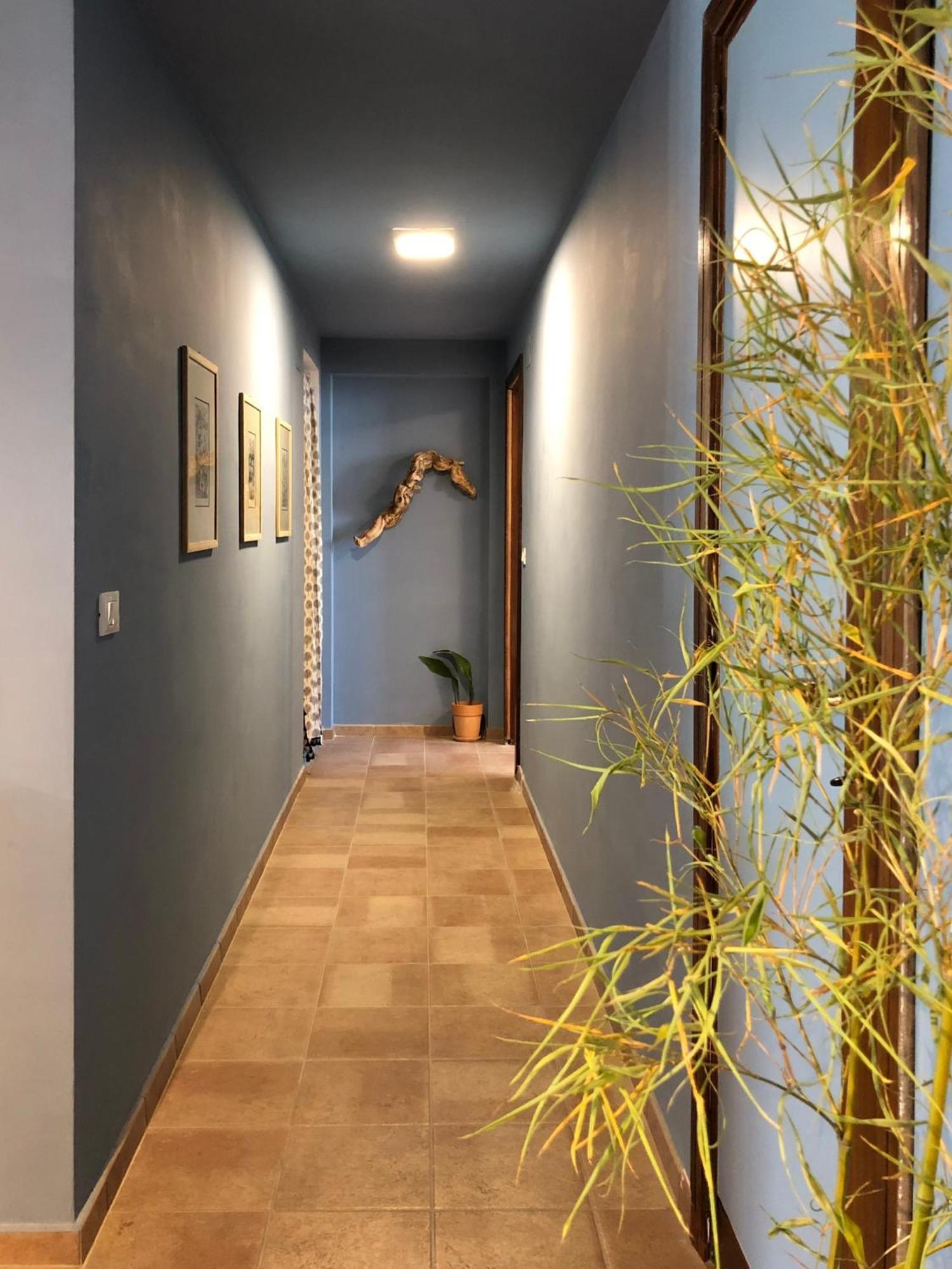 Blue Apricot Apartment Con Jacuzzi Montesilvano Bagian luar foto
